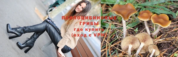 2c-b Нефтекумск